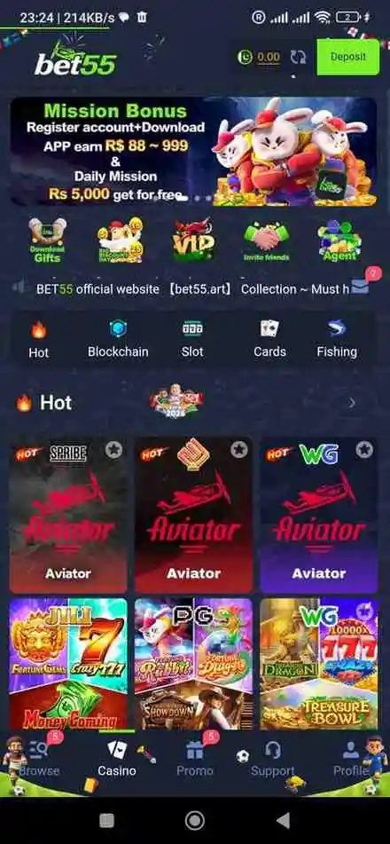 bet-55-game-interface